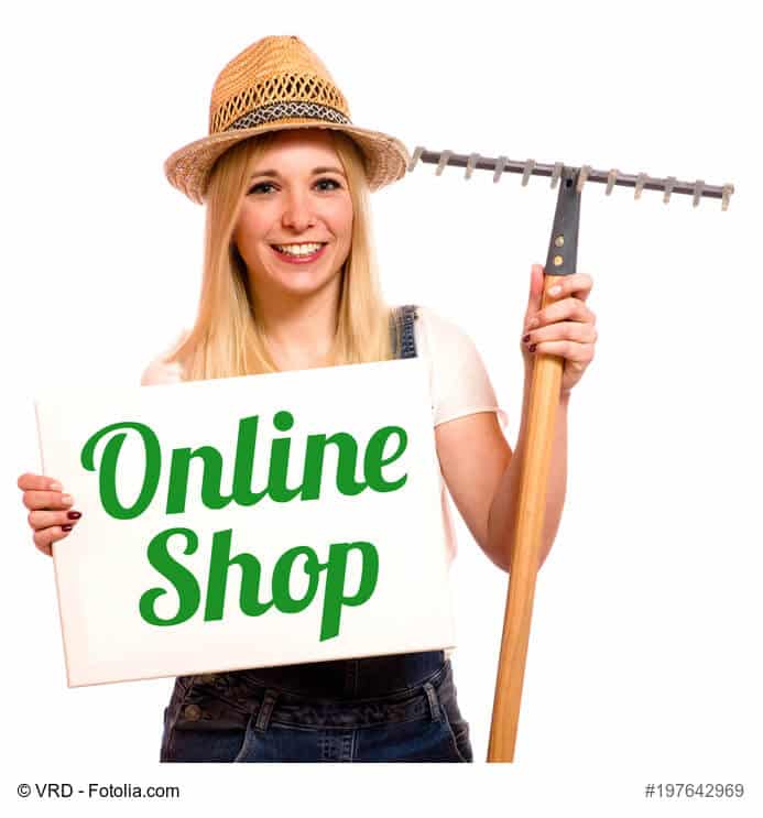 Warum Geschäfte aus der Fussgängerzone auch online eine Präsenz zeigen sollten